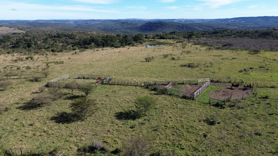 Commercial Property for Sale in Komga Eastern Cape